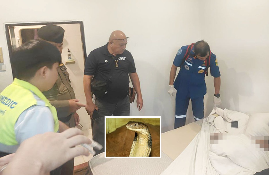 Man Playing With Cobra Found Dead in his Hotel Room