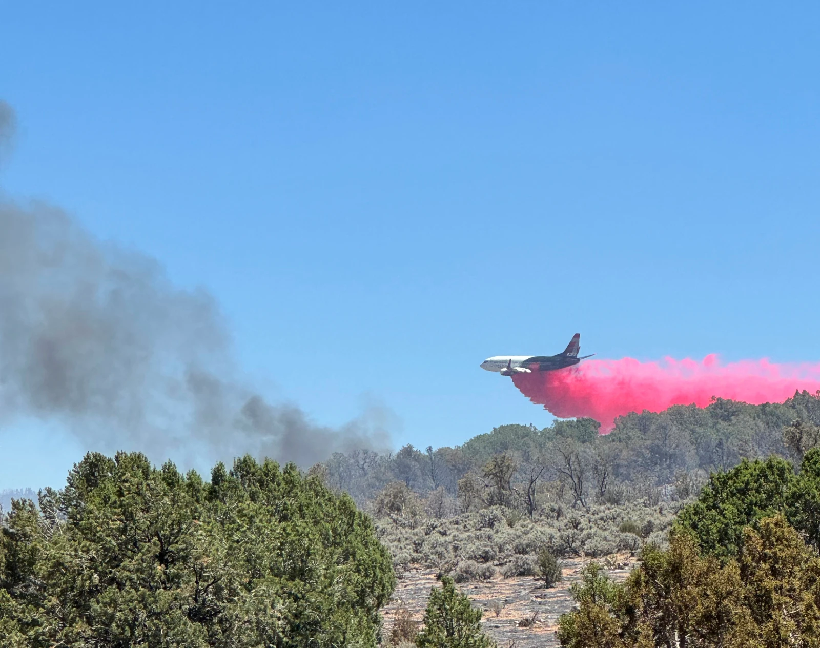 Dragon Bravo and White Sage Wildfires