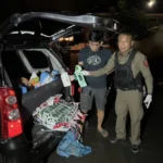 Chiang Rai Police Seize Over 100kg of Crystal Meth After Vehicle Chase