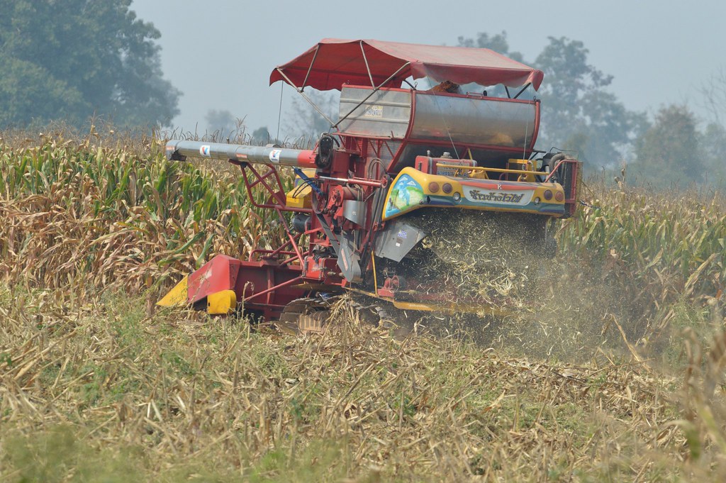 Maize harvest combine 8 | Chiang Khong, Chiang Rai,