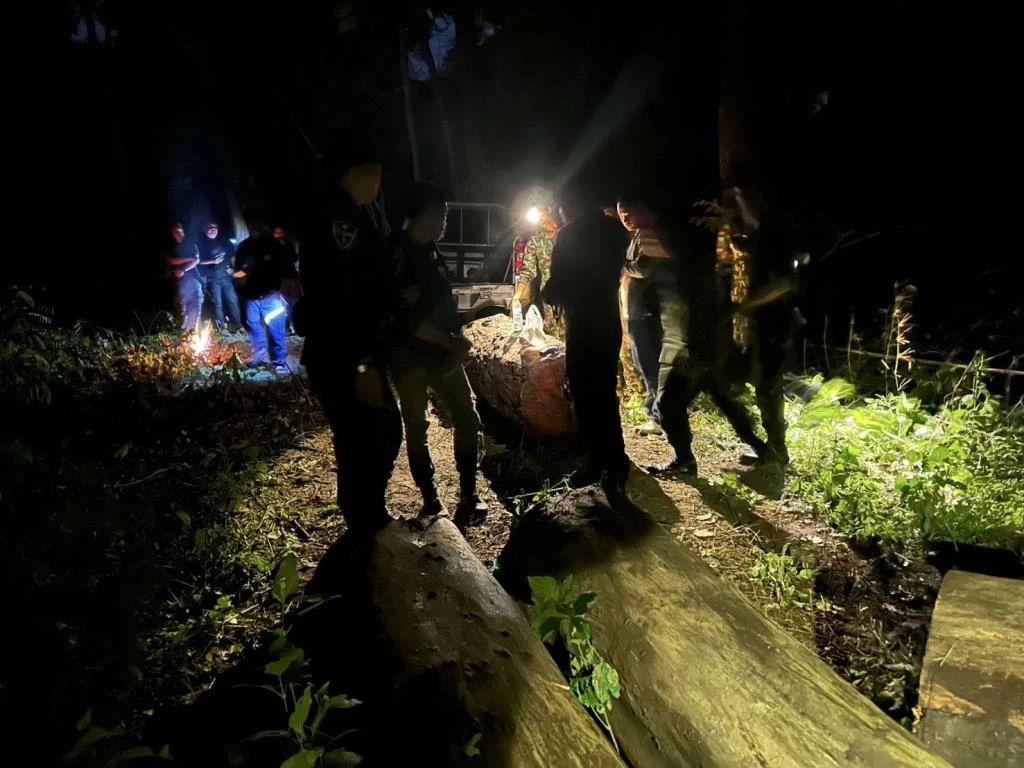 Timer Traffickers Caught Logging Burmese Rosewood in Lampang National Park