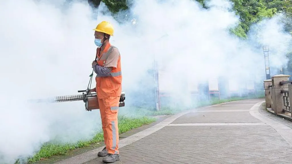 chikungunya virus symptoms