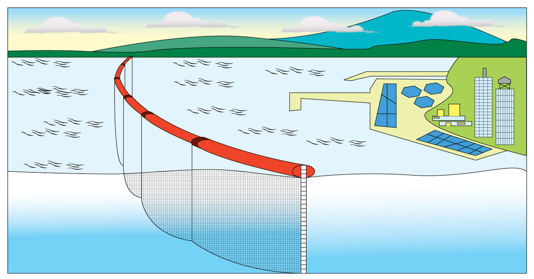 Sediment Curtains