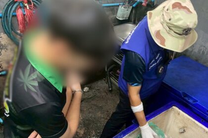 Chiang Rai Cannabis Shop Busted for Selling Kratom Drinks to Students