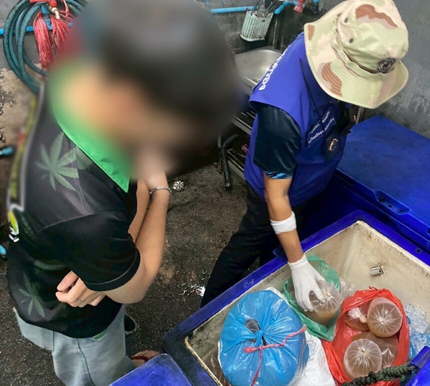 Chiang Rai Cannabis Shop Busted for Selling Kratom Drinks to Students