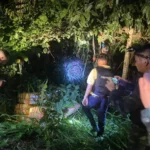Pha Muang Task Force Seized 2 Million Meth Pills in Chiang Saen, Chiang Rai