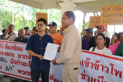 Chiang Rai Maize Farmers Rally for Action on Falling Prices and GMO Imports