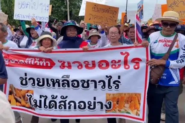 Maize Farmers Across Thailand Protest