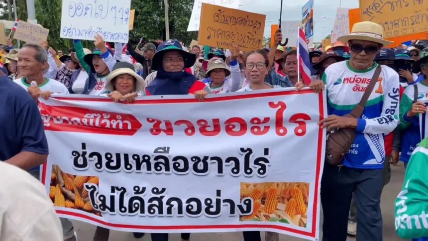 Maize Farmers Across Thailand Protest