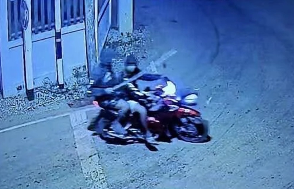 Teens Beating Dogs