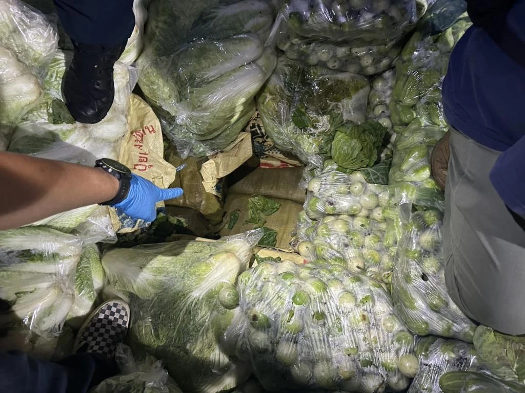 Chiang rai drug bust