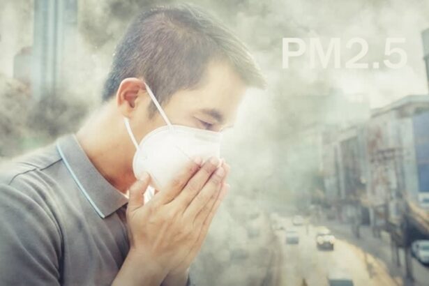 PM2.5 pollution northern thailand
