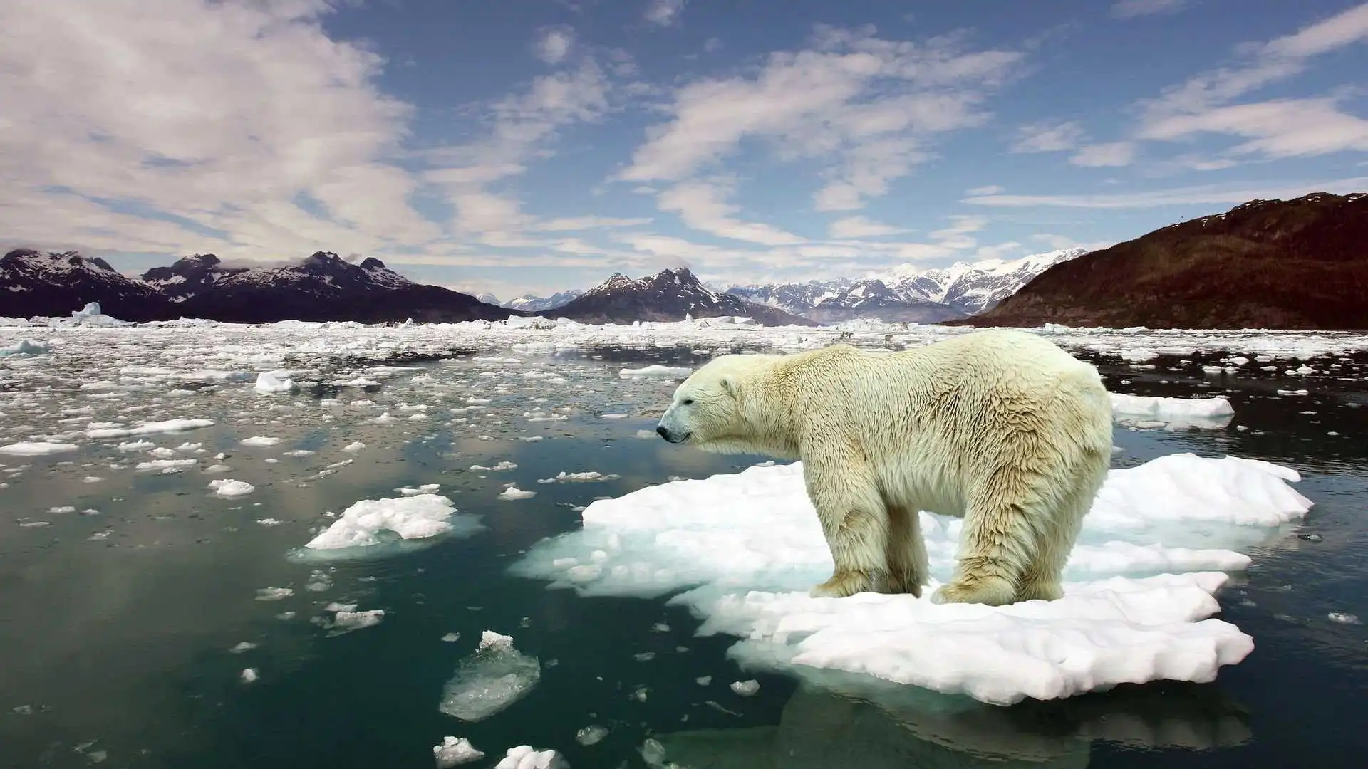 How Global Warming Is Reshaping Ecology and Environment