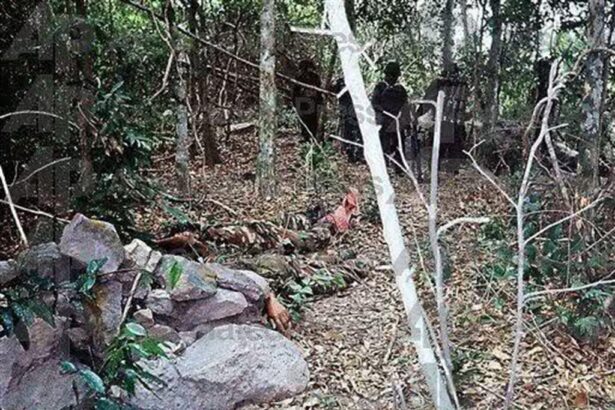 Cambodia’s Failure to Recover Fallen Soldiers Sparks Outrage