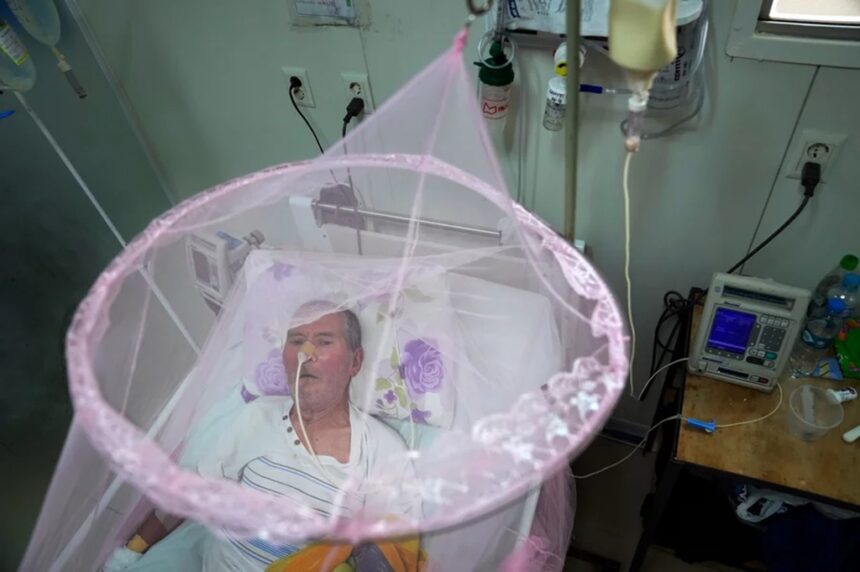 China reports 7,000 cases of chikungunya virus