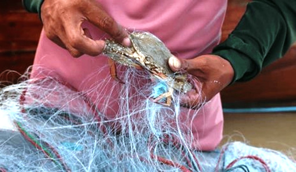 Crab Fishermen Thailand