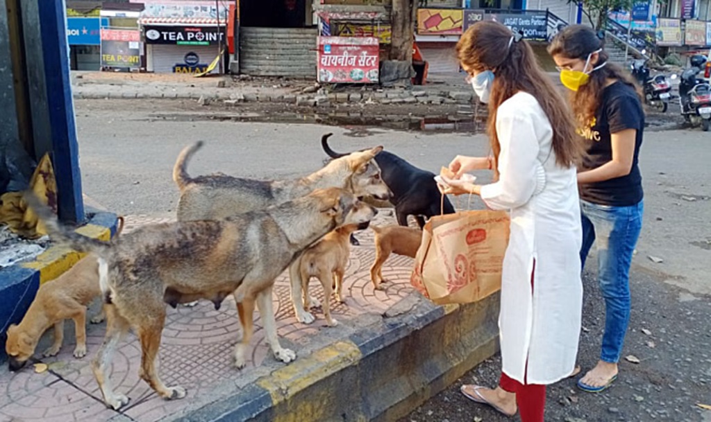 Feeding Stray Dogs New Delhi India