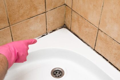 Health Concerns When Home Cleaning is Unreliable