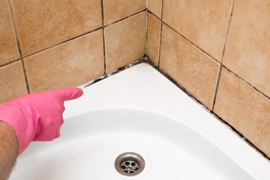 Health Concerns When Home Cleaning is Unreliable