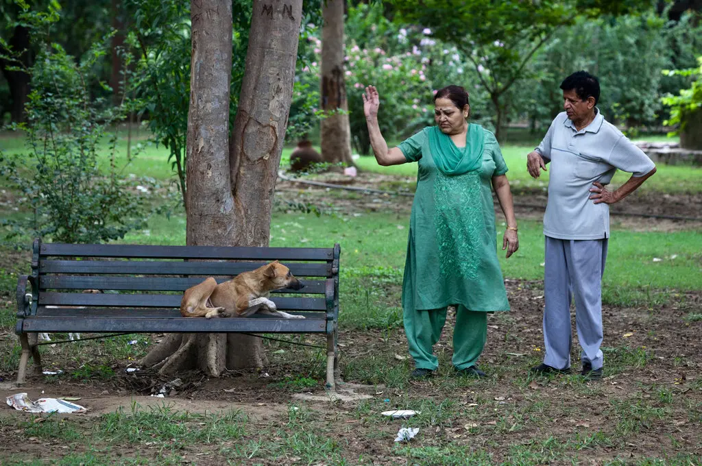The judges were responding to the menace of dogs that form packs and attack people.