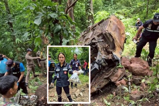 Police find burned out car wreck