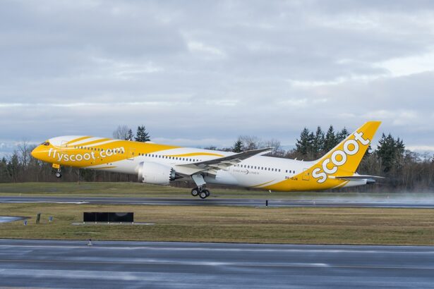 Scoot to Launch Direct Flights from Chiang Rai to Singapore