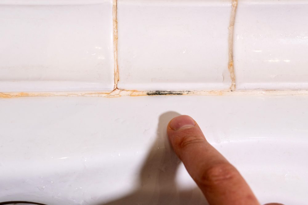 Standing Water Can Grow Mold