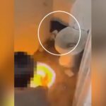 Teens, Lampang, Disabled Dog
