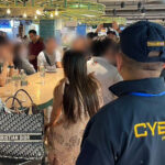 Cyber Police Crackdown on Mule Account Network