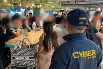 Cyber Police Crackdown on Mule Account Network