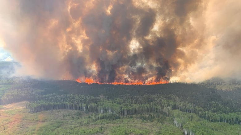 How Global Warming Is Reshaping Ecology and Environment