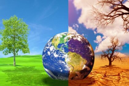 How Global Warming Is Reshaping Ecology and Environment