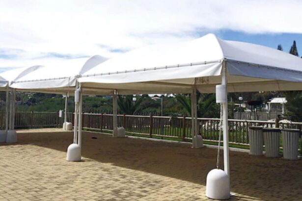 Commercial Canopy