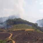 Deforestation Threatens Chiang Rai's Green Economy