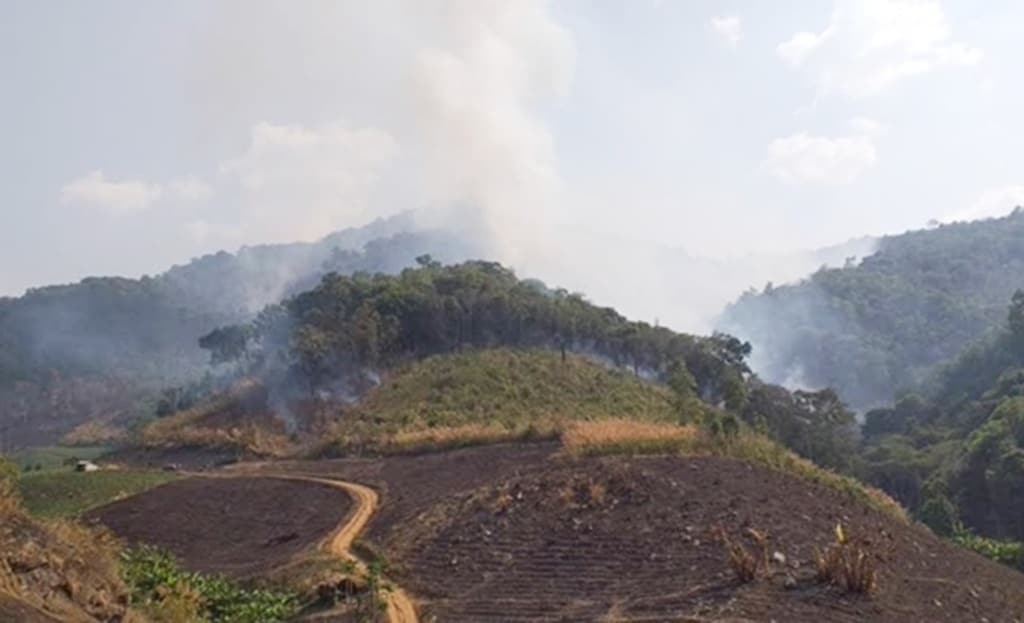 Deforestation Threatens Chiang Rai's Green Economy
