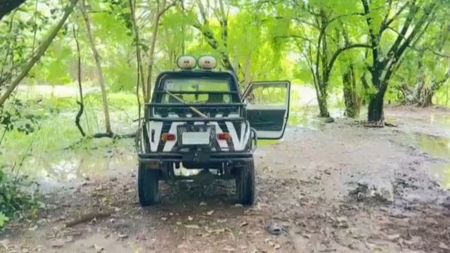 Lions Kill Zookeeper at Safari World 