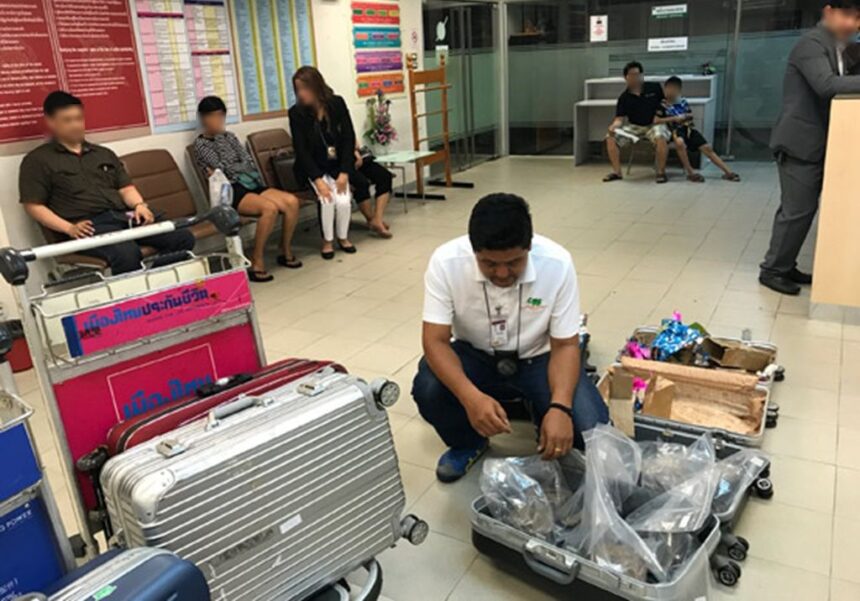 Vietnamese Man Busted at Bangkok Airport With Rhino Horns