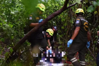 School Teacher Struck and Killed