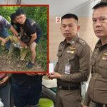 Police Shan Youth Gang Leader Arrested Chiang Mai