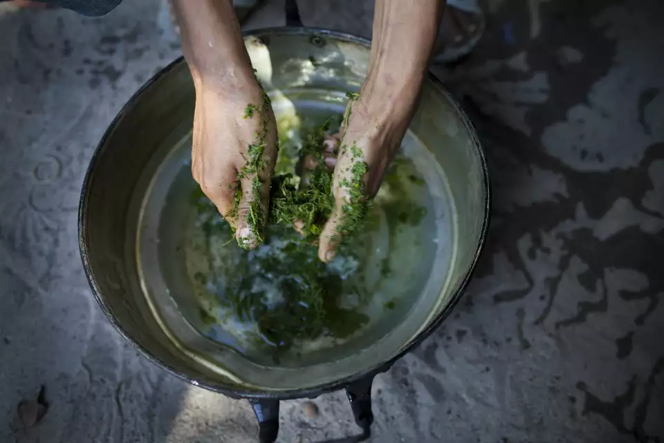 Kratom
