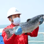 Xinjiang China Makes Impossible Salmon Farming Possible