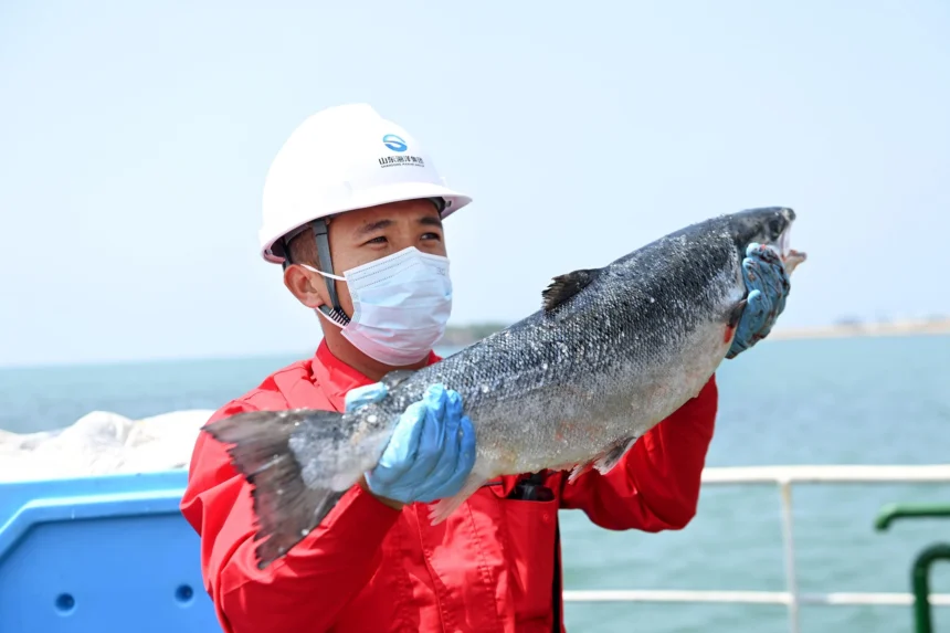 Xinjiang China Makes Impossible Salmon Farming Possible