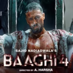 Baaghi 4, the latest chapter in the Bollywood action series