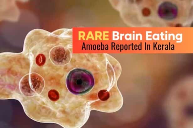 Brain Eating Disease in Kerala