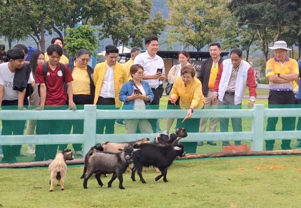 Chiang Mai Park Welcomes 8 Pygmy Goats From Night Safari