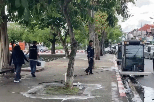 Chiang Mai Rat and Garbage Issue Resolved