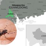 Guangdong China Struggles to Contain Chikungunya Virus Outbreak