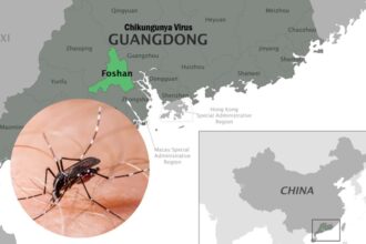 Guangdong China Struggles to Contain Chikungunya Virus Outbreak