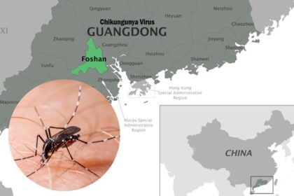 Guangdong China Struggles to Contain Chikungunya Virus Outbreak
