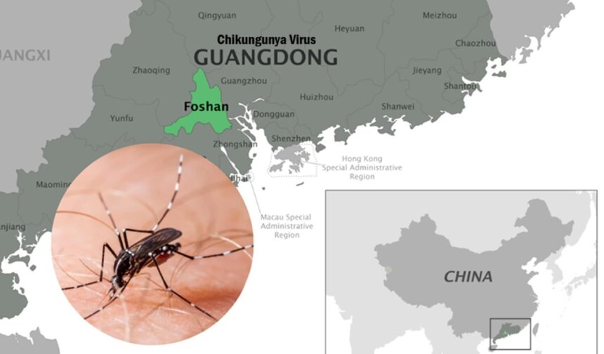 Guangdong China Struggles to Contain Chikungunya Virus Outbreak